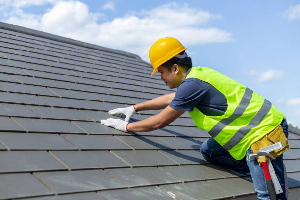 Best Roof Gutter Cleaning  in Loma, CO