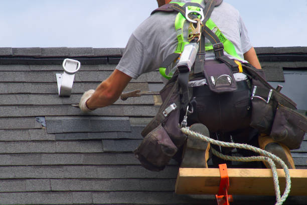 Best Roof Gutter Cleaning  in Loma, CO